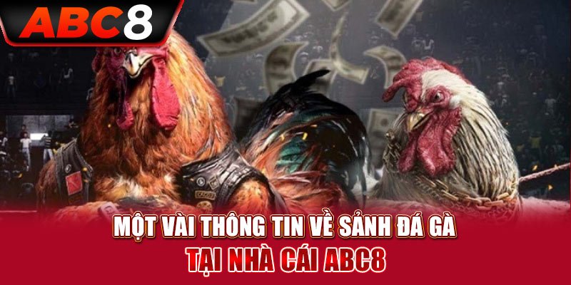 Game đá gà ABC8 bắt nguồn từ đâu?